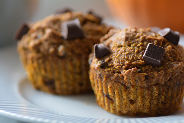 Two golden allergen free chocolate chip muffins sit on a plate.