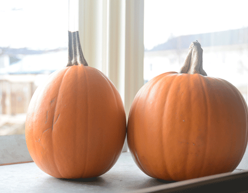 A pair of small pumpkins sitting on a metal tray in front of a window